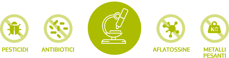 immagine di analisi microscopio